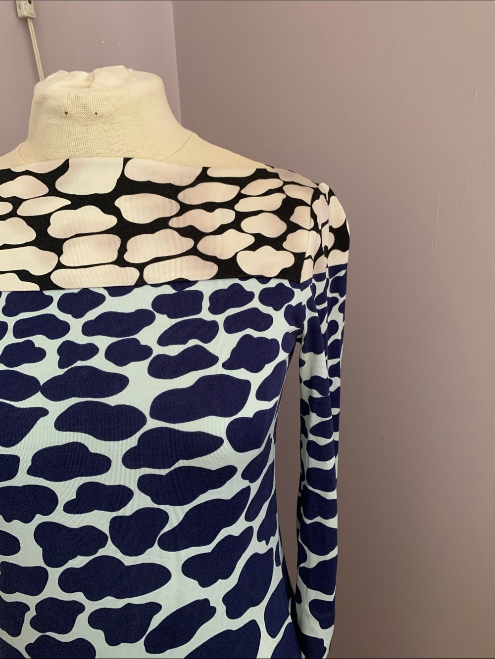 Diane Von Furstenberg Print Long Sleeve Dress